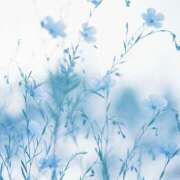 ヒメ日記 2025/08/21 11:14 投稿 ゆうか 西川口マーメイド