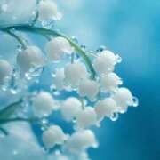 ヒメ日記 2025/09/04 10:40 投稿 ゆうか 西川口マーメイド