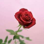 ヒメ日記 2025/09/10 10:43 投稿 ゆうか 西川口マーメイド