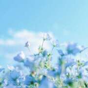 ヒメ日記 2025/09/12 10:46 投稿 ゆうか 西川口マーメイド