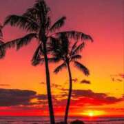 ヒメ日記 2025/02/26 12:19 投稿 沙月（さつき） あなたの妻