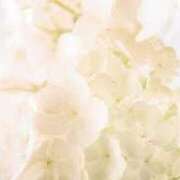 ヒメ日記 2025/07/21 17:22 投稿 佳奈(かな) グランドオペラ福岡