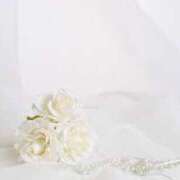 ヒメ日記 2025/07/21 18:21 投稿 佳奈(かな) グランドオペラ福岡