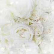 ヒメ日記 2025/07/24 18:03 投稿 佳奈(かな) グランドオペラ福岡