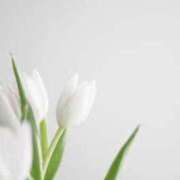 ヒメ日記 2025/07/24 21:51 投稿 佳奈(かな) グランドオペラ福岡