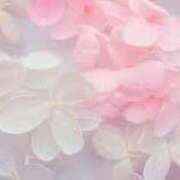 ヒメ日記 2025/07/27 19:21 投稿 佳奈(かな) グランドオペラ福岡