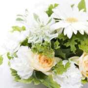 ヒメ日記 2025/07/27 19:34 投稿 佳奈(かな) グランドオペラ福岡