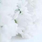 ヒメ日記 2025/07/28 18:21 投稿 佳奈(かな) グランドオペラ福岡