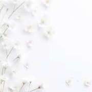 ヒメ日記 2025/07/28 19:11 投稿 佳奈(かな) グランドオペラ福岡