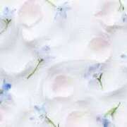 ヒメ日記 2025/07/28 20:21 投稿 佳奈(かな) グランドオペラ福岡