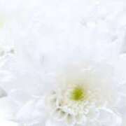 ヒメ日記 2025/08/06 21:42 投稿 佳奈(かな) グランドオペラ福岡