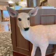 ヒメ日記 2025/01/17 12:07 投稿 あんな 奥鉄オクテツ兵庫