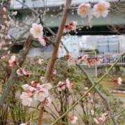 ヒメ日記 2025/03/11 20:52 投稿 あんな 奥鉄オクテツ兵庫