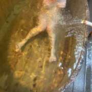 ヒメ日記 2025/05/08 17:20 投稿 あんな 奥鉄オクテツ兵庫