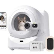 ヒメ日記 2025/11/20 09:45 投稿 あんな 奥鉄オクテツ兵庫