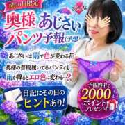 ヒメ日記 2026/06/24 09:30 投稿 あんな 奥鉄オクテツ兵庫