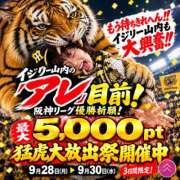 ヒメ日記 2026/09/30 17:00 投稿 あんな 奥鉄オクテツ兵庫
