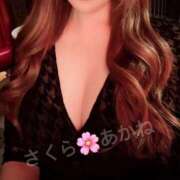 ヒメ日記 2024/12/24 00:18 投稿 雪乃あかね サクラ（すすきの）