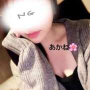 ヒメ日記 2024/12/27 17:48 投稿 雪乃あかね サクラ（すすきの）