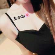 ヒメ日記 2024/12/28 08:48 投稿 雪乃あかね サクラ（すすきの）