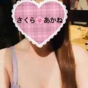 ヒメ日記 2024/12/28 18:48 投稿 雪乃あかね サクラ（すすきの）