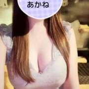 ヒメ日記 2025/02/10 01:04 投稿 雪乃あかね サクラ（すすきの）