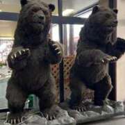 ヒメ日記 2025/02/11 19:22 投稿 雪乃あかね サクラ（すすきの）