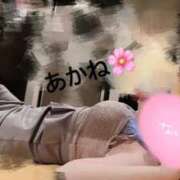 ヒメ日記 2025/02/21 18:37 投稿 雪乃あかね サクラ（すすきの）