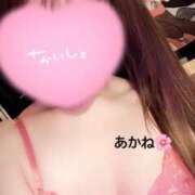 ヒメ日記 2025/02/24 10:49 投稿 雪乃あかね サクラ（すすきの）