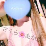 ヒメ日記 2025/03/01 10:05 投稿 雪乃あかね サクラ（すすきの）