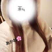 ヒメ日記 2025/03/02 01:04 投稿 雪乃あかね サクラ（すすきの）