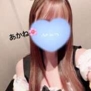 ヒメ日記 2025/03/07 13:33 投稿 雪乃あかね サクラ（すすきの）