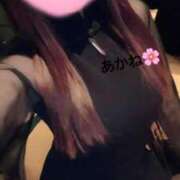 ヒメ日記 2025/03/10 02:27 投稿 雪乃あかね サクラ（すすきの）