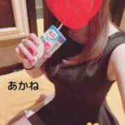 ヒメ日記 2025/03/18 11:18 投稿 雪乃あかね サクラ（すすきの）