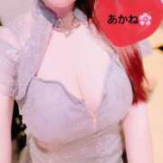 ヒメ日記 2025/03/18 17:12 投稿 雪乃あかね サクラ（すすきの）