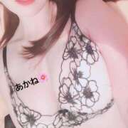 ヒメ日記 2025/03/20 10:33 投稿 雪乃あかね サクラ（すすきの）