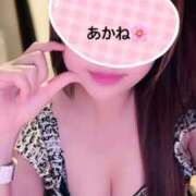 ヒメ日記 2025/03/21 02:03 投稿 雪乃あかね サクラ（すすきの）