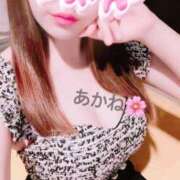 ヒメ日記 2025/03/22 09:33 投稿 雪乃あかね サクラ（すすきの）