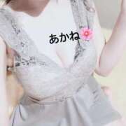 ヒメ日記 2025/03/23 18:03 投稿 雪乃あかね サクラ（すすきの）