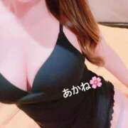 ヒメ日記 2025/03/23 23:18 投稿 雪乃あかね サクラ（すすきの）