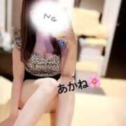 ヒメ日記 2025/03/26 19:49 投稿 雪乃あかね サクラ（すすきの）