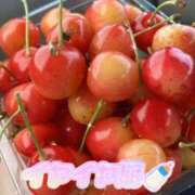 ヒメ日記 2025/03/27 08:03 投稿 雪乃あかね サクラ（すすきの）