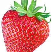 ヒメ日記 2025/03/27 19:03 投稿 雪乃あかね サクラ（すすきの）