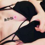 ヒメ日記 2025/04/01 15:03 投稿 雪乃あかね サクラ（すすきの）