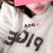 ヒメ日記 2025/04/01 20:34 投稿 雪乃あかね サクラ（すすきの）