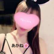 ヒメ日記 2025/04/04 13:18 投稿 雪乃あかね サクラ（すすきの）