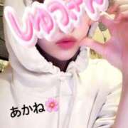 ヒメ日記 2025/04/04 20:19 投稿 雪乃あかね サクラ（すすきの）