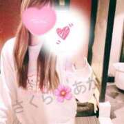 ヒメ日記 2025/04/04 23:42 投稿 雪乃あかね サクラ（すすきの）