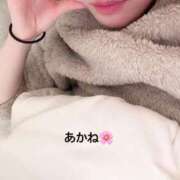 ヒメ日記 2025/04/05 08:33 投稿 雪乃あかね サクラ（すすきの）