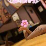 ヒメ日記 2025/04/05 17:03 投稿 雪乃あかね サクラ（すすきの）